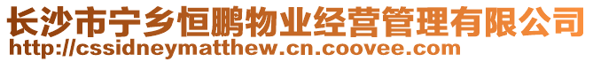 長(zhǎng)沙市寧鄉(xiāng)恒鵬物業(yè)經(jīng)營(yíng)管理有限公司