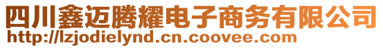 四川鑫邁騰耀電子商務(wù)有限公司