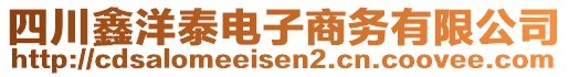 四川鑫洋泰電子商務(wù)有限公司