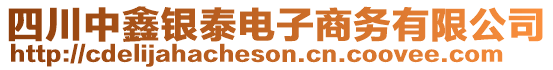 四川中鑫銀泰電子商務有限公司