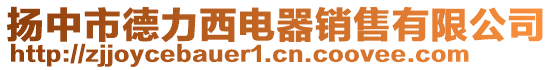 扬中市德力西电器销售有限公司