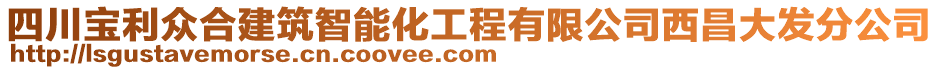 四川寶利眾合建筑智能化工程有限公司西昌大發(fā)分公司