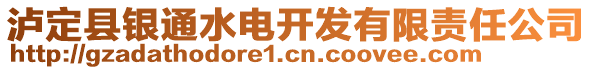 瀘定縣銀通水電開發(fā)有限責任公司