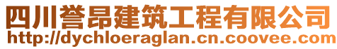 四川譽昂建筑工程有限公司