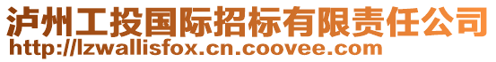 瀘州工投國(guó)際招標(biāo)有限責(zé)任公司