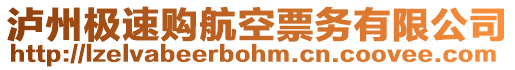 瀘州極速購(gòu)航空票務(wù)有限公司