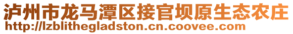 瀘州市龍馬潭區(qū)接官壩原生態(tài)農(nóng)莊