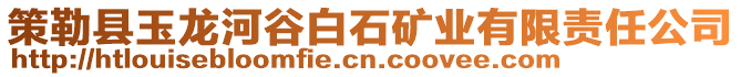 策勒縣玉龍河谷白石礦業(yè)有限責(zé)任公司