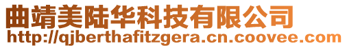 曲靖美陸華科技有限公司