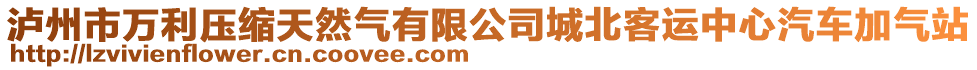 瀘州市萬利壓縮天然氣有限公司城北客運中心汽車加氣站