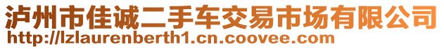 瀘州市佳誠二手車交易市場有限公司