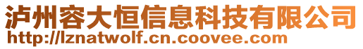 瀘州容大恒信息科技有限公司