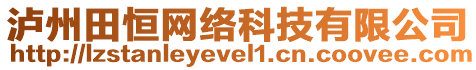 瀘州田恒網(wǎng)絡科技有限公司