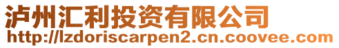 瀘州匯利投資有限公司