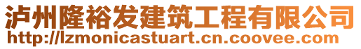 瀘州隆裕發(fā)建筑工程有限公司