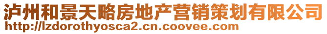 瀘州和景天略房地產(chǎn)營(yíng)銷策劃有限公司