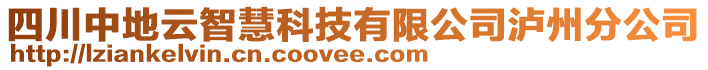 四川中地云智慧科技有限公司瀘州分公司