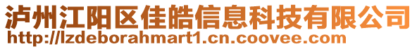 瀘州江陽區(qū)佳皓信息科技有限公司