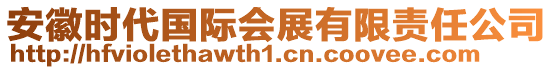 安徽時(shí)代國(guó)際會(huì)展有限責(zé)任公司