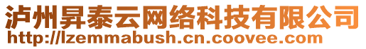 瀘州昇泰云網(wǎng)絡(luò)科技有限公司