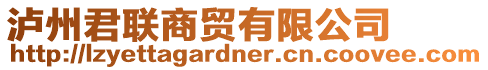 瀘州君聯(lián)商貿(mào)有限公司