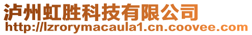 瀘州虹勝科技有限公司