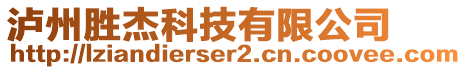 瀘州勝杰科技有限公司