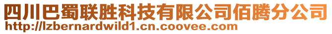 四川巴蜀聯(lián)勝科技有限公司佰騰分公司