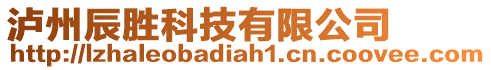 瀘州辰勝科技有限公司