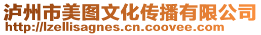 瀘州市美圖文化傳播有限公司