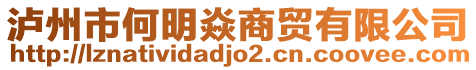 瀘州市何明焱商貿(mào)有限公司