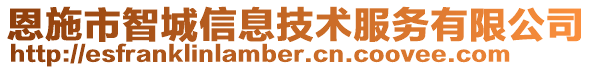 恩施市智城信息技術(shù)服務(wù)有限公司