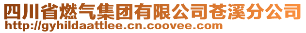 四川省燃?xì)饧瘓F(tuán)有限公司蒼溪分公司