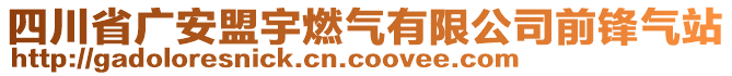 四川省廣安盟宇燃氣有限公司前鋒氣站