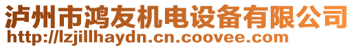 瀘州市鴻友機電設(shè)備有限公司