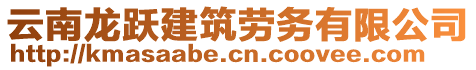 云南龍躍建筑勞務(wù)有限公司