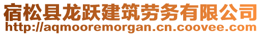 宿松縣龍躍建筑勞務(wù)有限公司