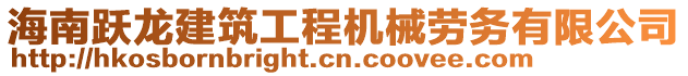 海南躍龍建筑工程機械勞務有限公司