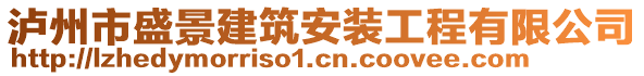 瀘州市盛景建筑安裝工程有限公司