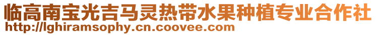 臨高南寶光吉馬靈熱帶水果種植專業(yè)合作社