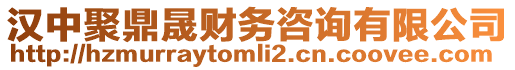 漢中聚鼎晟財(cái)務(wù)咨詢有限公司