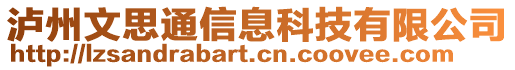 瀘州文思通信息科技有限公司