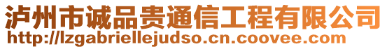 瀘州市誠品貴通信工程有限公司