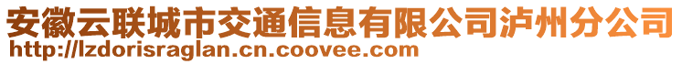 安徽云聯(lián)城市交通信息有限公司瀘州分公司