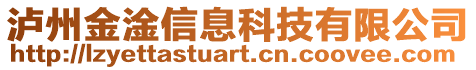 瀘州金淦信息科技有限公司