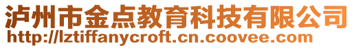 瀘州市金點教育科技有限公司