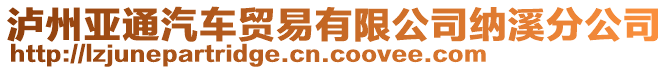 瀘州亞通汽車貿(mào)易有限公司納溪分公司