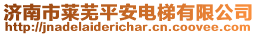 濟南市萊蕪平安電梯有限公司