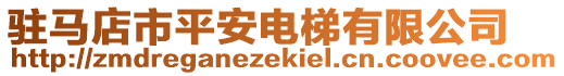 駐馬店市平安電梯有限公司