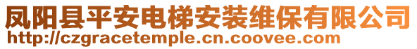 鳳陽縣平安電梯安裝維保有限公司